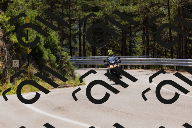 202508161152-_04A0819_c3