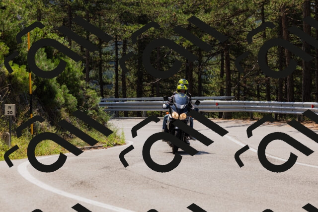 202508161152-_04A0820_c3