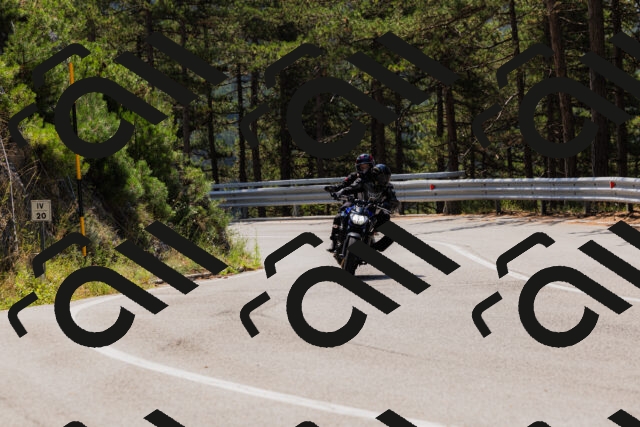 202508161152-_04A0823_c3