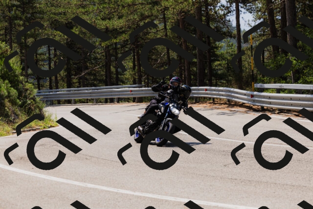 202508161152-_04A0824_c3