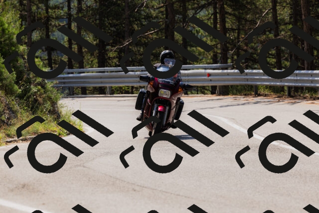 202508161154-_04A0828_c3