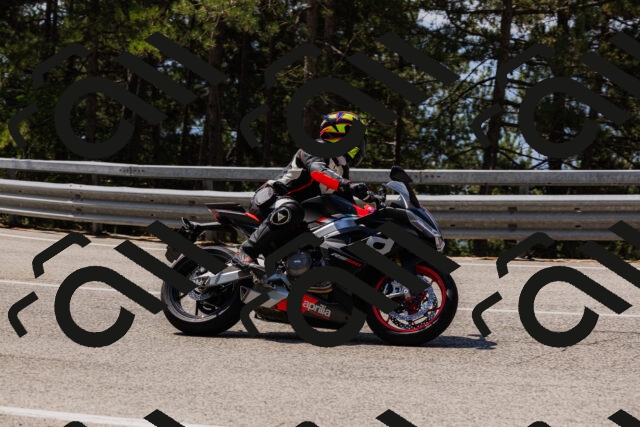 202508161154-_04A0831_c3