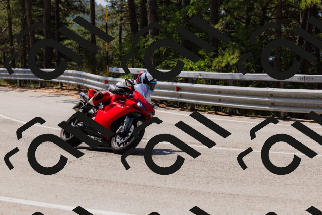 202508161154-_04A0837_c3