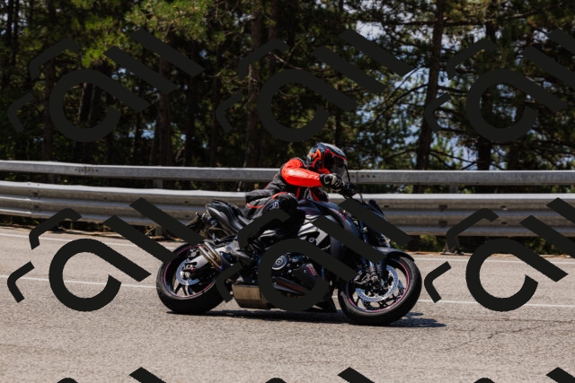 202508161154-_04A0844_c3