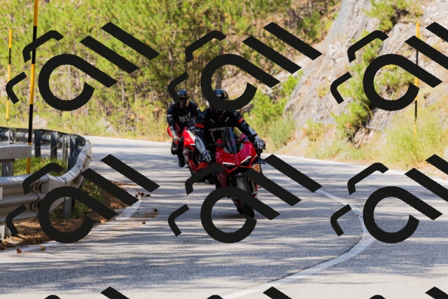 202508161156-_04A0845_c3