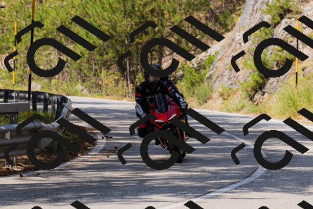 202508161156-_04A0846_c3