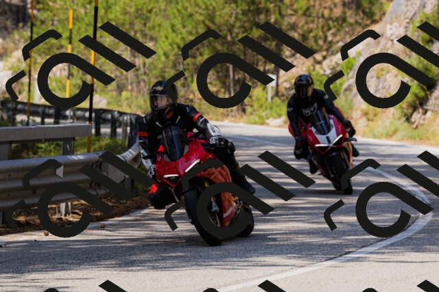 202508161156-_04A0847_c3