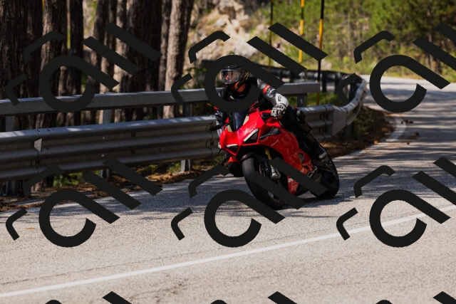 202508161156-_04A0848_c3