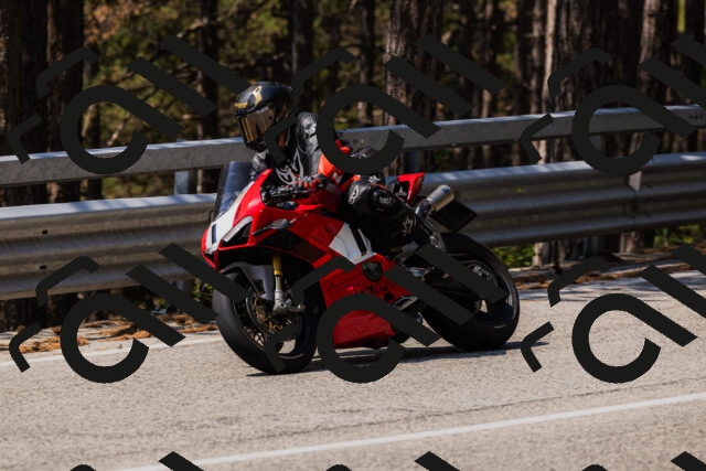 202508161156-_04A0849_c3