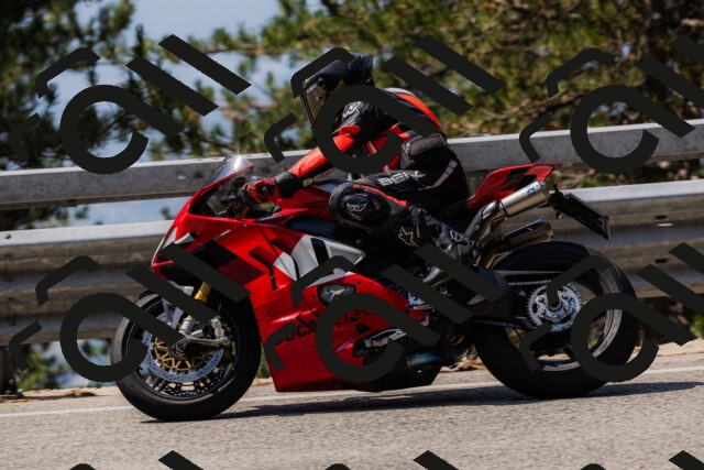 202508161156-_04A0850_c3