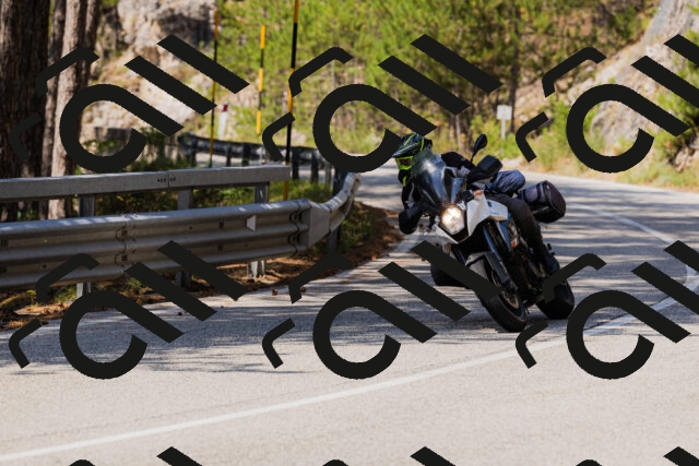 202508161156-_04A0854_c3