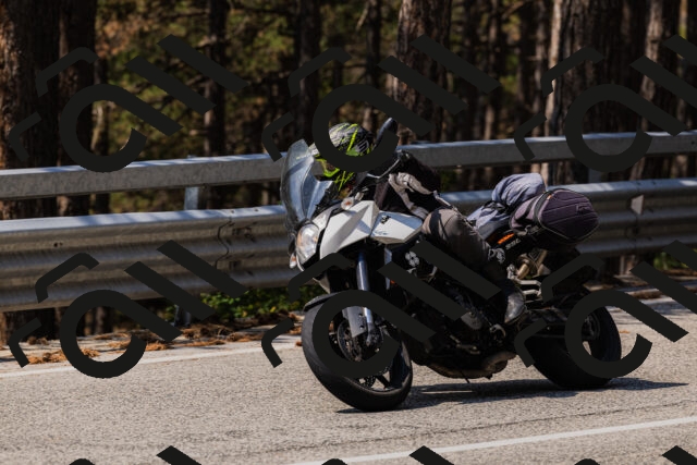 202508161156-_04A0856_c3