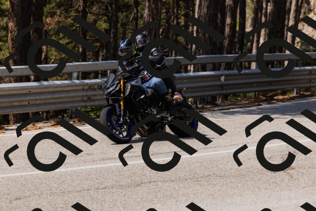 202508161156-_04A0861_c3