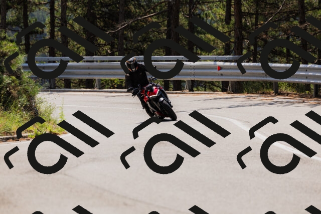 202508161157-_04A0867_c3