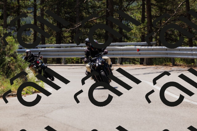 202508161158-_04A0873_c3