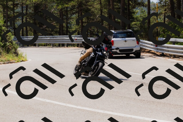 202508161158-_04A0877_c3