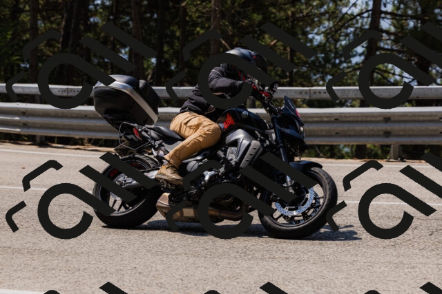 202508161158-_04A0879_c3