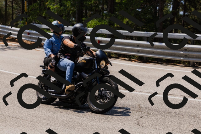 202508161203-_04A0895_c3