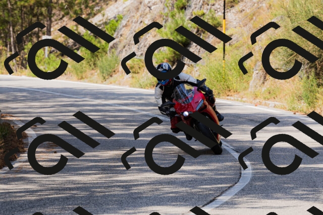 202508161204-_04A0897_c3