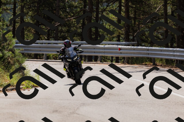 202508161204-_04A0902_c3