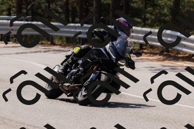 202508161204-_04A0905_c3