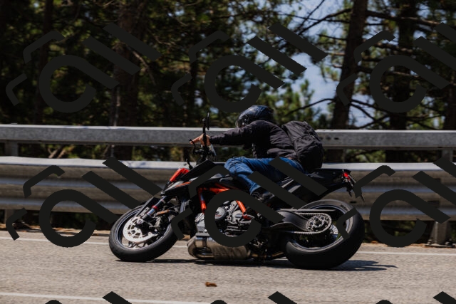 202508161204-_04A0917_c3