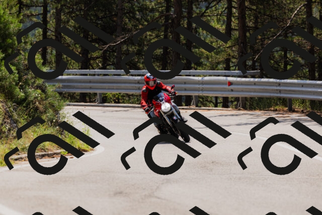 202508161205-_04A0918_c3