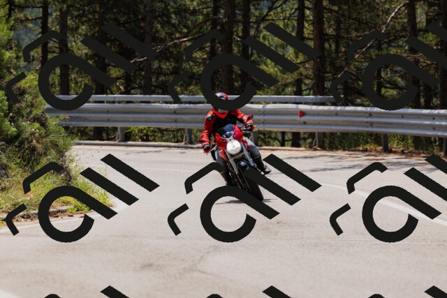 202508161205-_04A0919_c3