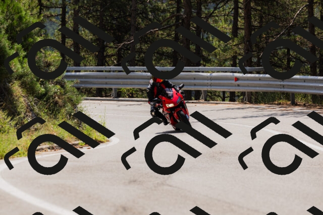 202508161205-_04A0924_c3