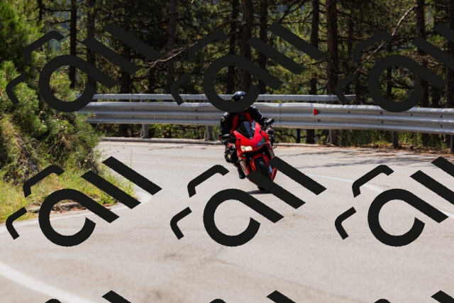 202508161205-_04A0925_c3