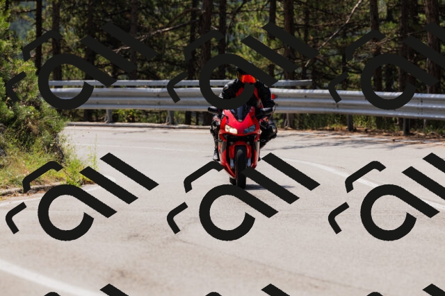 202508161205-_04A0926_c3