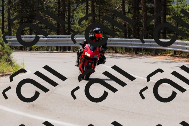 202508161205-_04A0927_c3