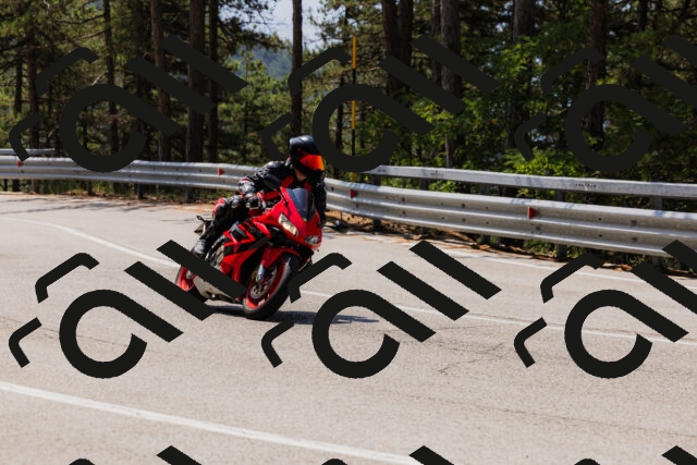 202508161205-_04A0928_c3