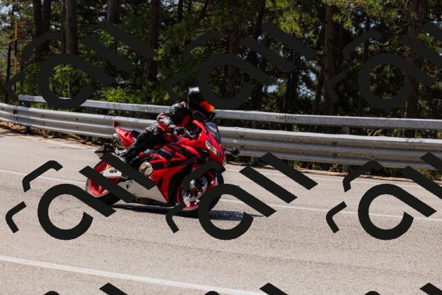 202508161205-_04A0929_c3