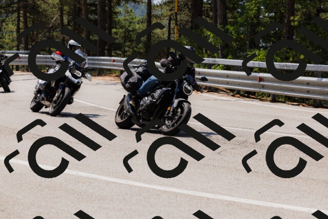 202508161206-_04A0933_c3