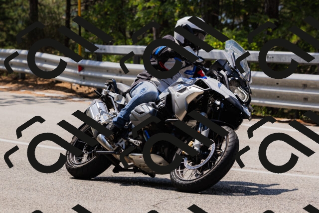 202508161206-_04A0934_c3