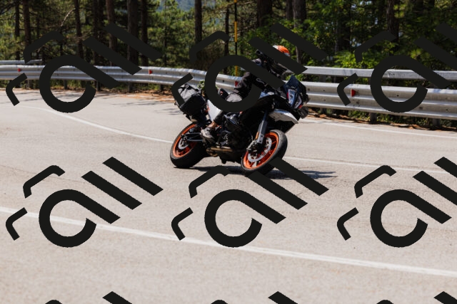 202508161206-_04A0935_c3