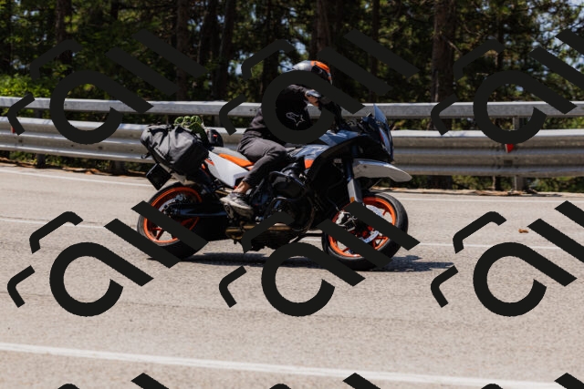 202508161206-_04A0936_c3