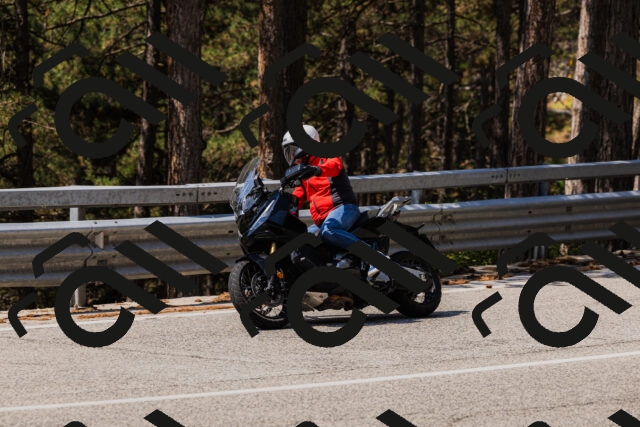 202508161207-_04A0938_c3