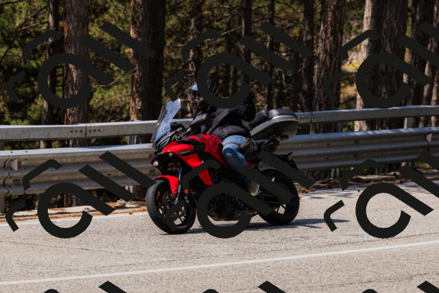 202508161208-_04A0941_c3