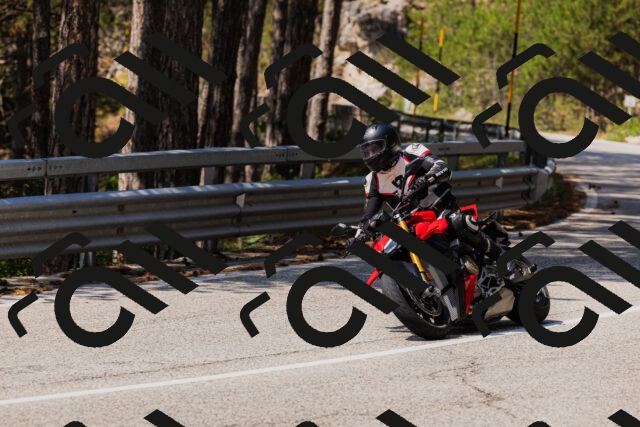 202508161208-_04A0944_c3