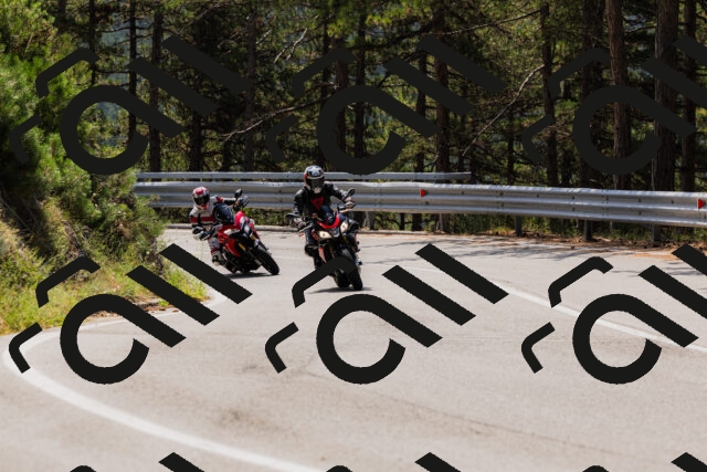 202508161209-_04A0950_c3