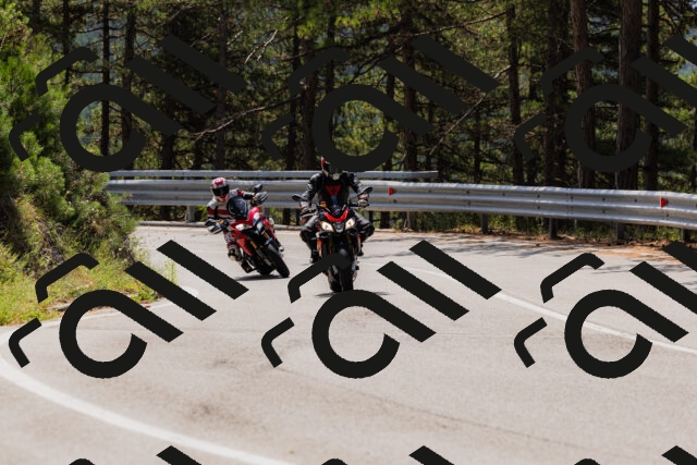 202508161209-_04A0951_c3