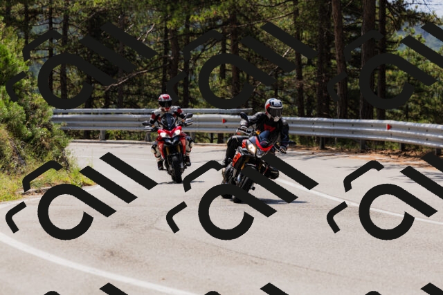 202508161209-_04A0952_c3