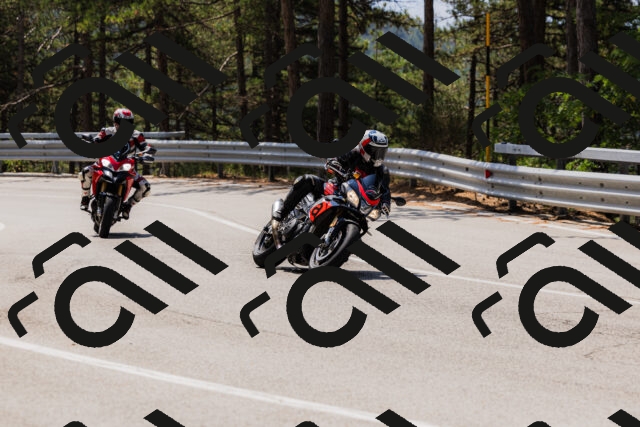 202508161209-_04A0953_c3