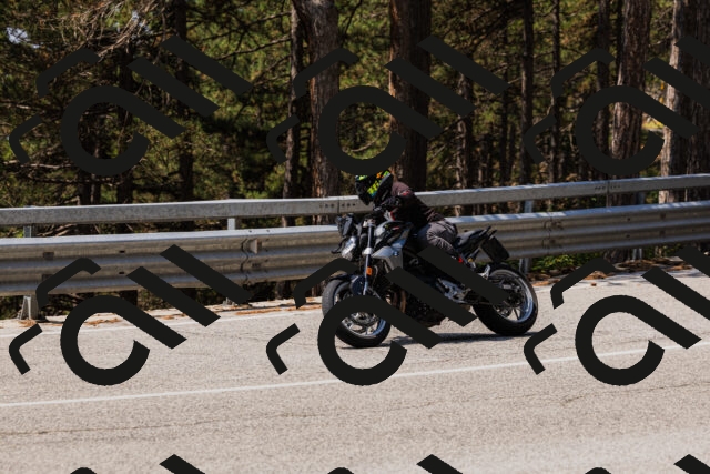 202508161209-_04A0956_c3