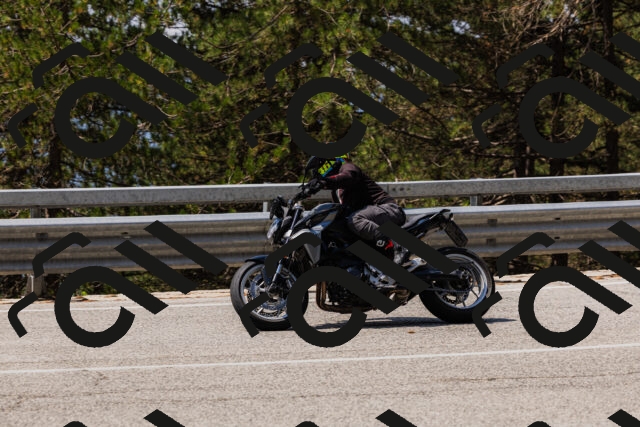 202508161209-_04A0957_c3