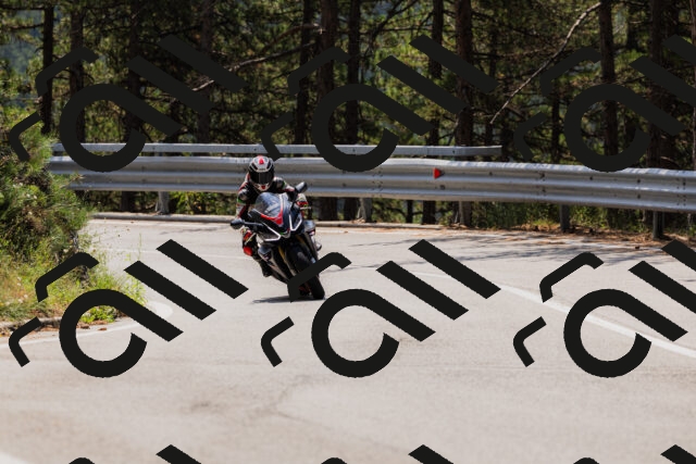 202508161210-_04A0959_c3