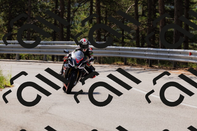 202508161210-_04A0961_c3