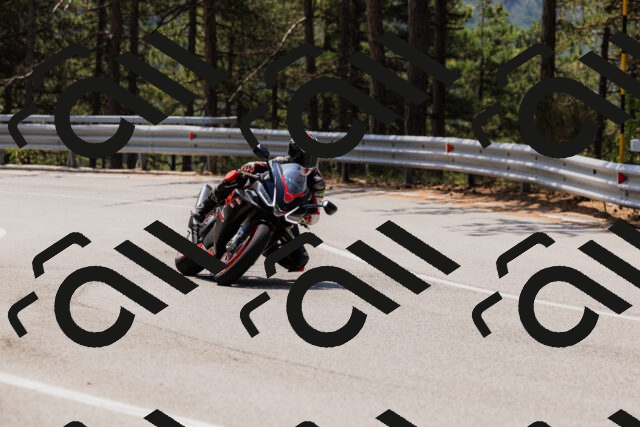 202508161210-_04A0962_c3